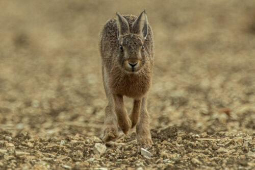 438A7697_web
