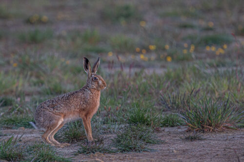 CN7Q1653_web